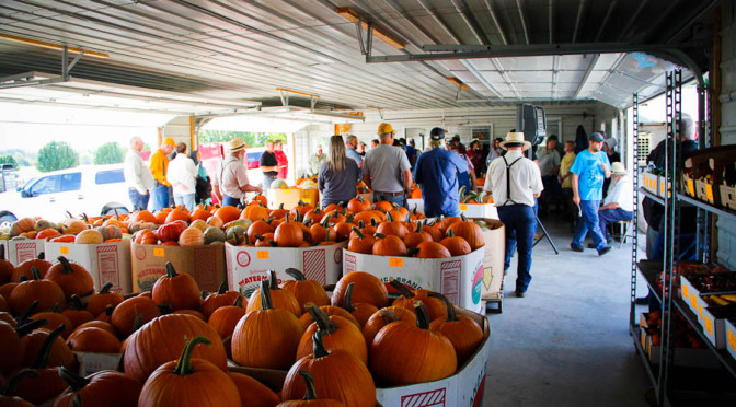 Produce Auction in Barton County