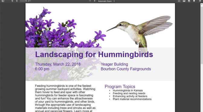 Hummingbird Workshop Offered By K-State March 22