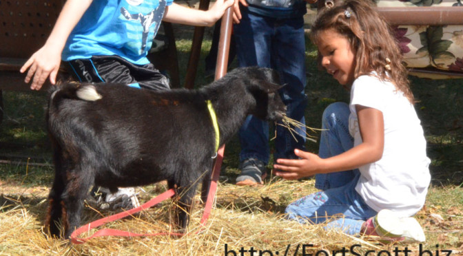 Fort Scott kindergarteners visit Shead Farm