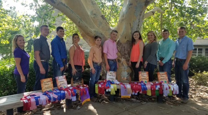 Southwind 4-H Members Excel at Livestock Sweepstakes Contests