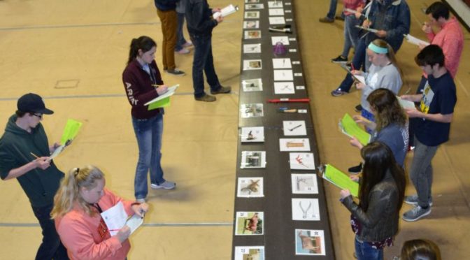 Aggie Day Draws Over 1,300 Students at FSCC