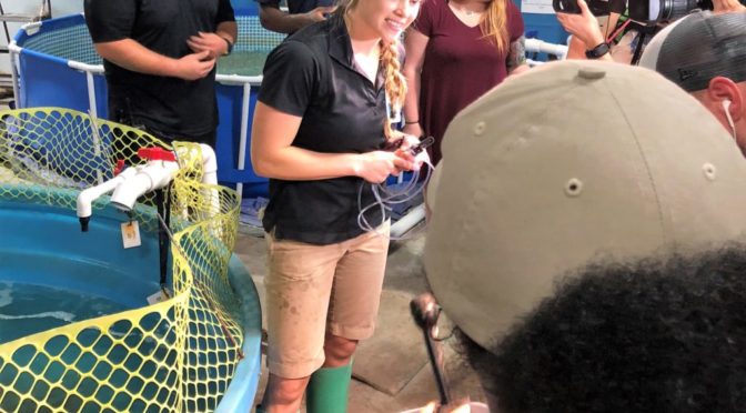 Local Woman In Story Of San Antonio’s Stolen Shark
