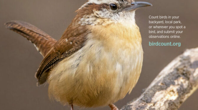Great Backyard Bird Count at Fort Scott NHS this Month 