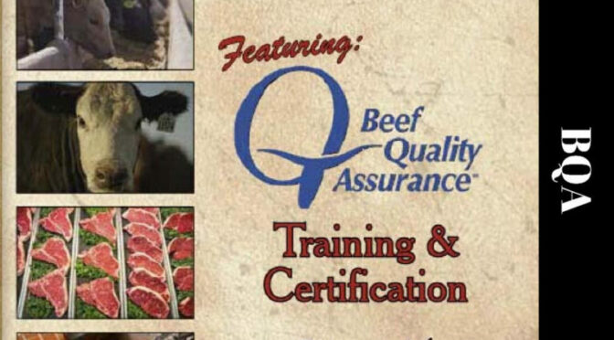 Cattle Care and Health Training March 24
