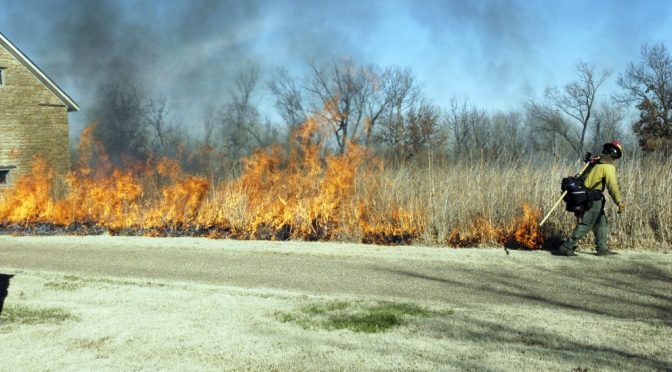 Creating a Healthier Park with Fire