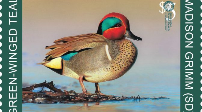 Junior Duck Stamp Art Contest Offered By The Fort