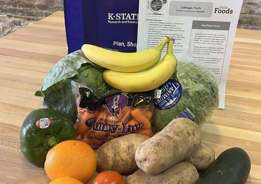 Fresh Produce Pre-Order Sales Began This Month In Bronson