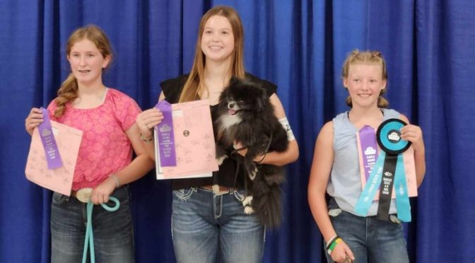 Foster, Snyder and Woods Win Purple Ribbons at Kansas State Fair