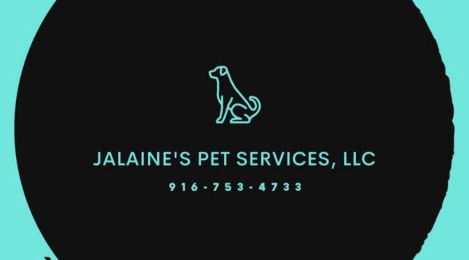 New Pet Service Opens By Newcomers From California