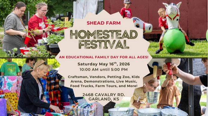 Shead Farm Festival activities